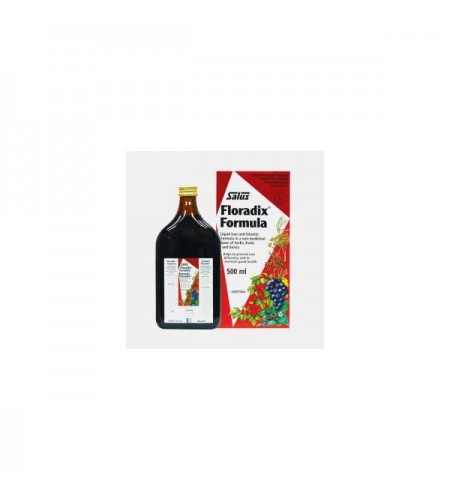 Floradix 500ml